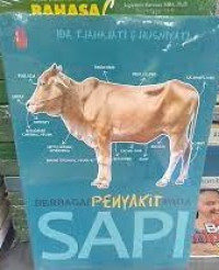 BERBAGAI PENYAKIT PADA SAPI