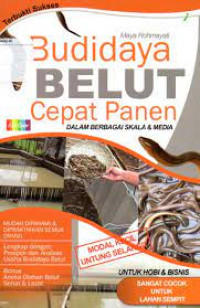 BUDIDAYA BELUT CEPAT PANEN : Dalam Berbagai Skala & Media