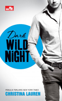 DARK WILD NIGHT