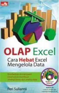 OLAP EXCEL : Cara Hebat Excel Mengelola Data