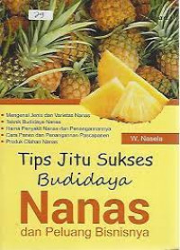 TIPS JITU SUKSES BUDIDAYA NANAS DAN PELUANG BISNISNYA